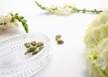 The growth of marijuana weddings